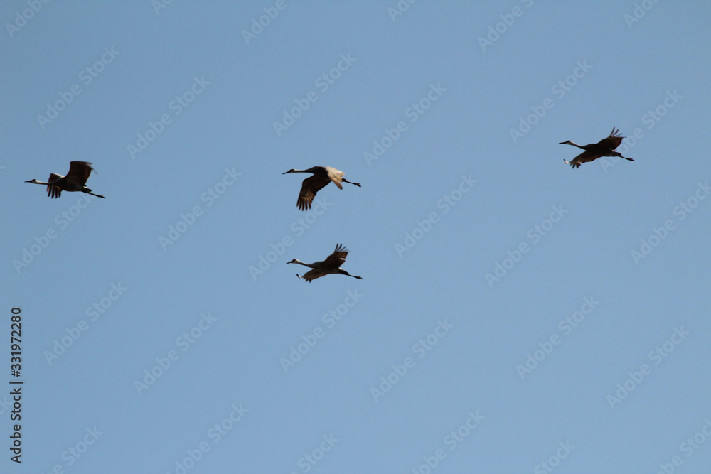 Formation Flight Formation Flight