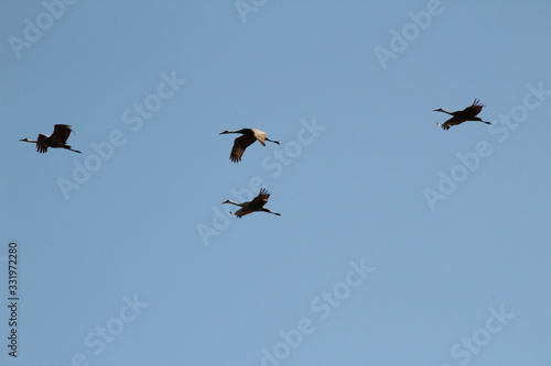 Formation Flight