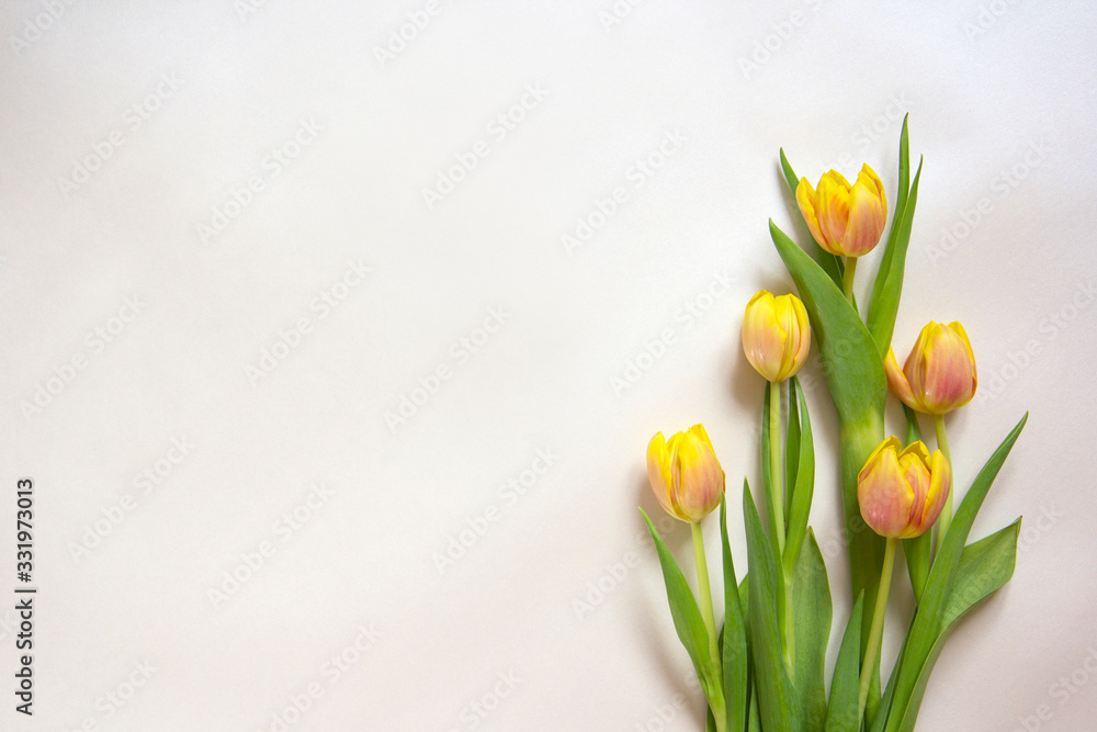 Bouquet of yellow tulips isolated against white background with copy space for text. Top view. Flat lay. Bouquet of yellow tulips isolated against white background with copy space for text. Top view. Flat lay.