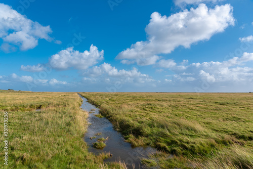 Landscape with salt marshes in St Peter-Ording