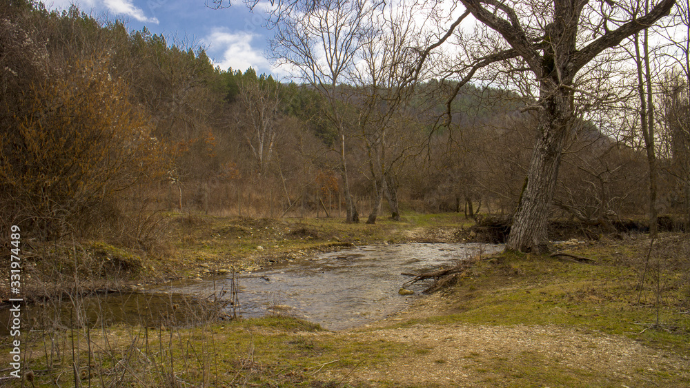 Trees near river in Medven located in South-East Bulgaria. In the park there is the famous waterfall Trees near river in Medven located in South-East Bulgaria. In the park there is the famous waterfall