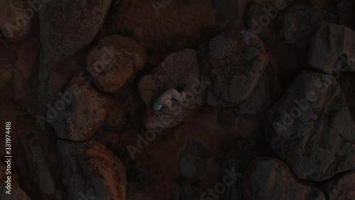 Top view of a lone astronaut on Mars. The astronaut lies on the surface of the planet Mars. Astronaut on the red planet.