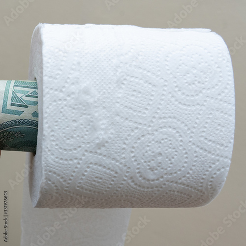 Dollar in toilet paper roll