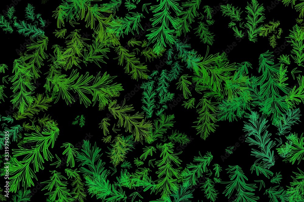 Colorful botanical illustration background. Leaf wallpaper Colorful botanical illustration background. Leaf wallpaper