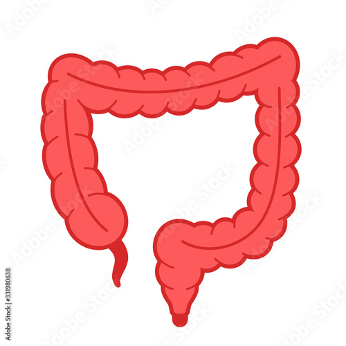 Intestine anatomy vector icon