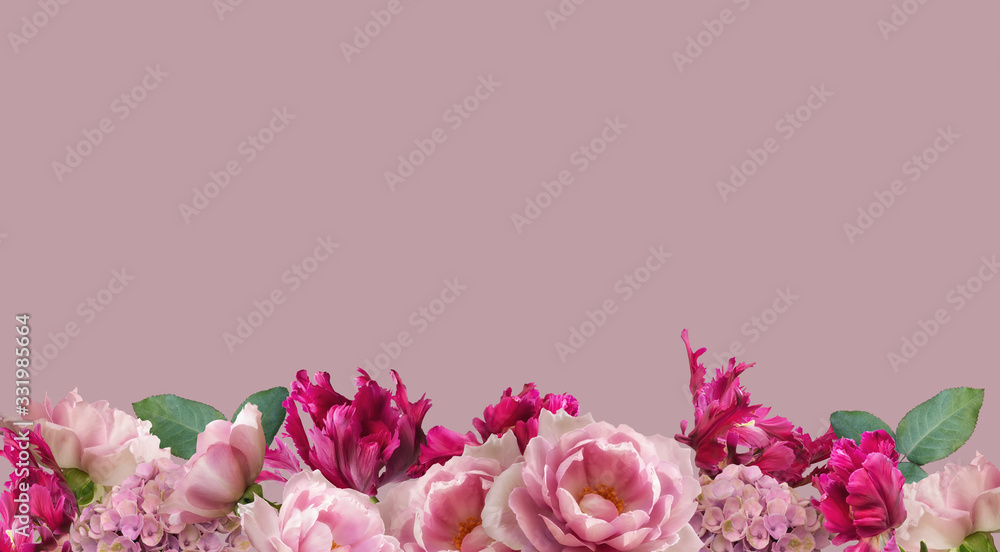 Floral banner, header with copy space. Pink roses and magenta tulips isolated on pastel background. Natural flowers wallpaper or greeting card.
