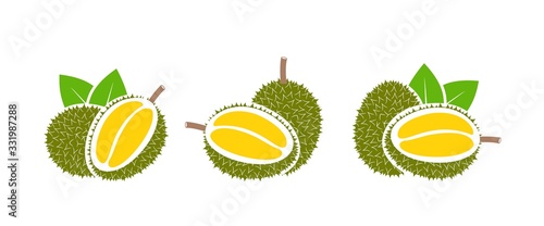 Durian logo. Isolated durian on white background