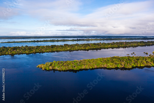 Images of trees submerged in the river, taken during a helicopter flight over the Amazon rainforest in the Anavilhanas archipelago. © Carlos Grillo