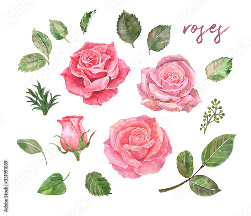 Watercolor rose flower set. Hand painted red and dusty pink roses, greenery f...