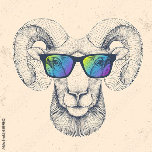 Hipster animal ram or mouflon with glasses. Hand drawing Muzzle of ram