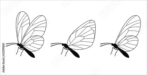 Naklejka Line butterfly illustration set