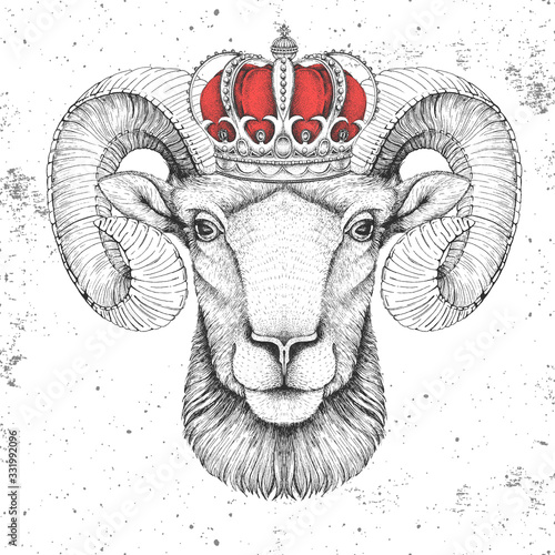 Hipster animal ram or mouflon in crown. Hand drawing Muzzle of ram
