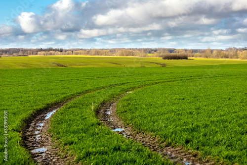 landscape of green wide field with tire tracks