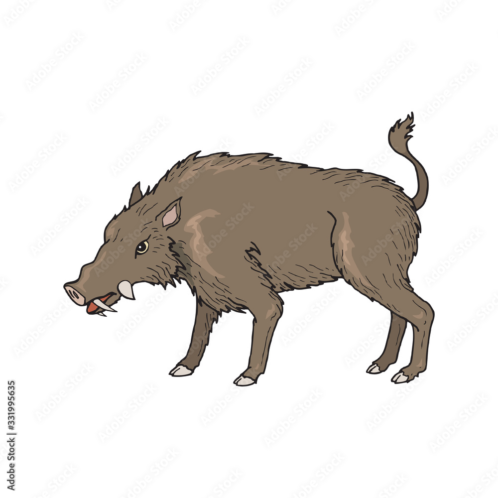 Obraz Boar wild animal vector sketch icon. Wild aper swine or pig hog side view symbol for wildlife fauna and zoology or hunting sport team trophy symbol and nature zoo adventure club design in EPS10