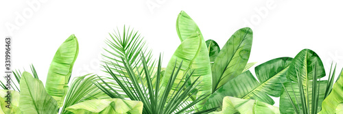 Green palm leaves and flowers banner. Tropical plant. Hand painted watercolor...