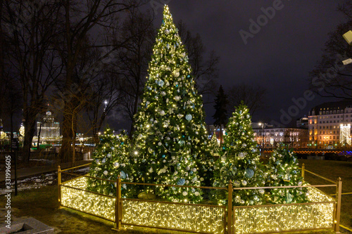 Photography Christmas trees in Zaryadye park, Moscow, Russian Federation, January 10, 2020