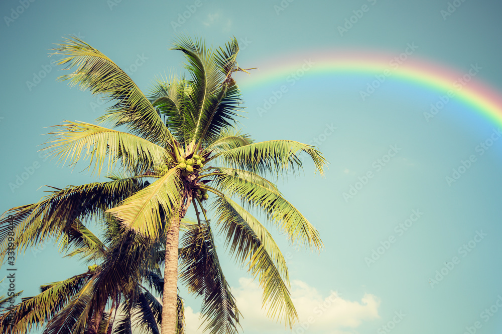 Retro coconut tree on blue sky with rainbows