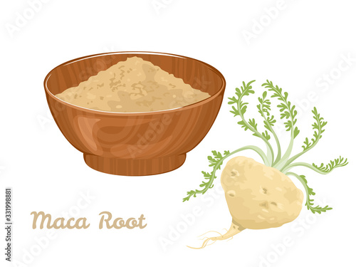 Maca root and maca powder in wooden bowl Isolated on white background. Vector illustration of dietary supplement in cartoon flat style.