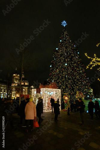 New Year and Christmas decorations in the Zaryadye park, Moscow, Russian Federation, January 10, 2020