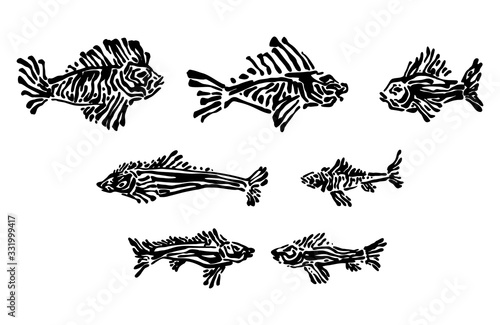 Endangered ancient fish set. Hand drawn animal prints graphic vector illustration, black isolated on white background painted by ink