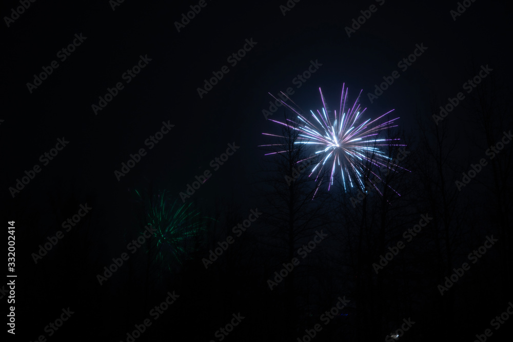fireworks in the night sky