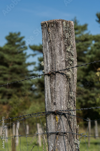 old weathered pole in meadow photo