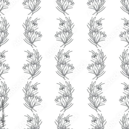 crocus flowers seamless pattern. eps 10 vector stock illustration.