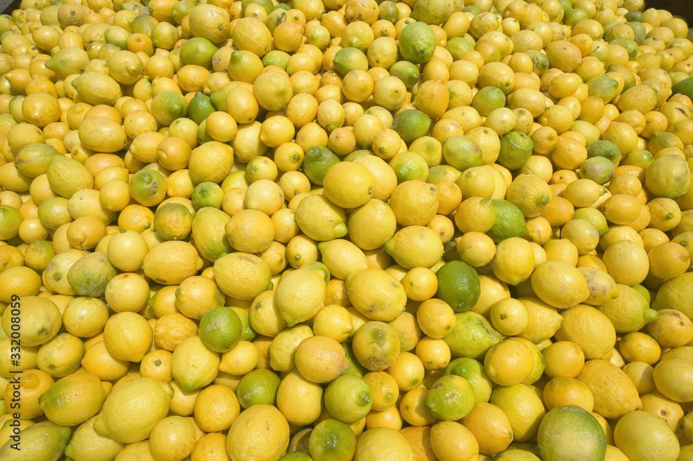 Thousands of lemons filling a truck after lemon harvest near Santa Paula, California. Thousands of lemons filling a truck after lemon harvest near Santa Paula, California.