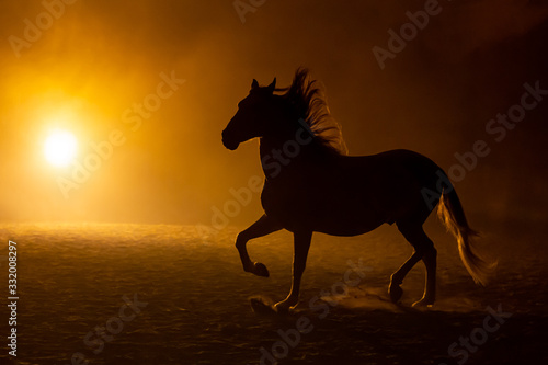 Silhouette of a trotting Andalusian horse with waving manes in a orange smokey atmosphere, against the light with smoke and a bright lamp