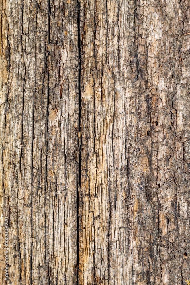 Old Weathered Cracked Wood Texture Old Weathered Cracked Wood Texture