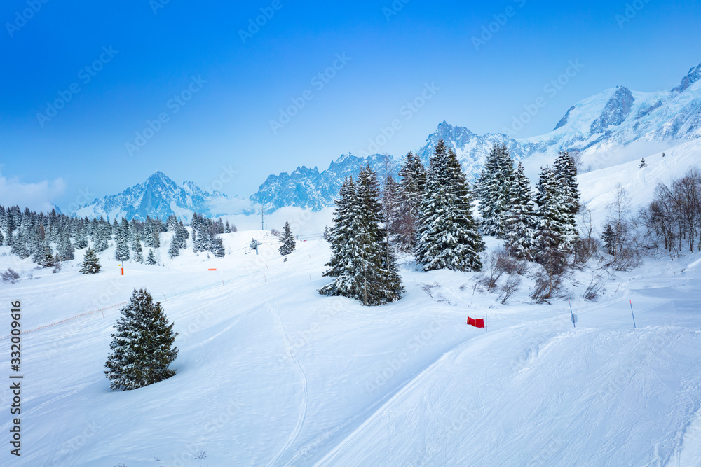 Ski slopes and firs at winter in Mont-Blanc, Chamonix region, Auvergne-Rhone-Alpes in south-eastern France
