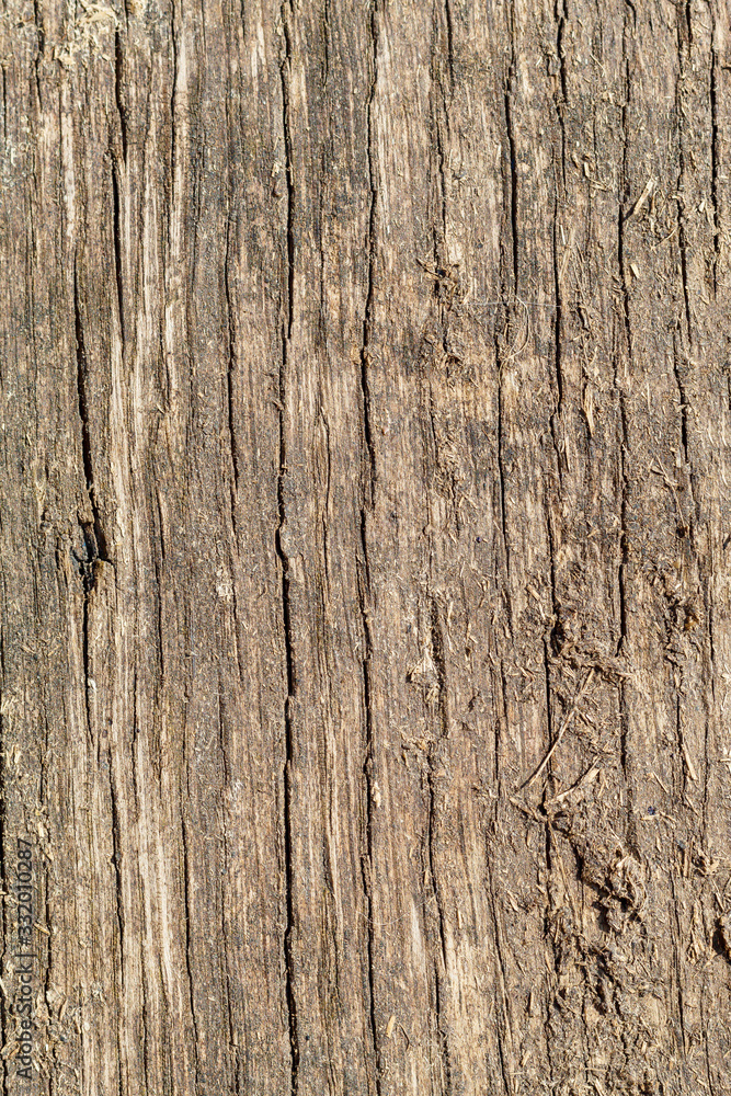 Obraz premium Old Weathered Cracked Wood Texture
