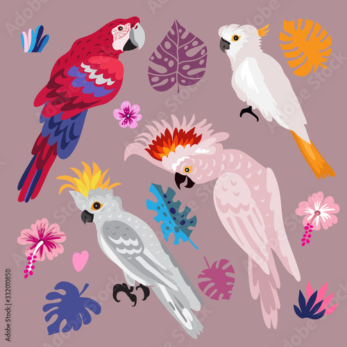 Parrots 1
