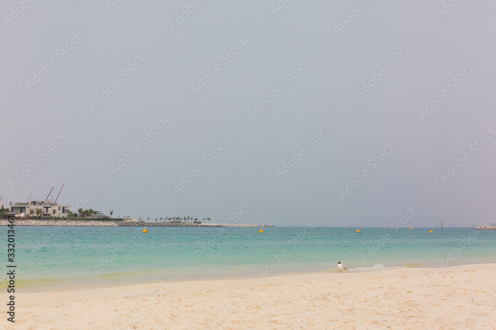 sea beach sand summer united Arab emirates