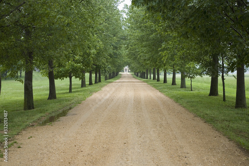 Tree lined road to Southern Plantation in Surry County Virginia photo