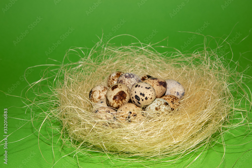 Easter quail eggs in the decorative nest on green background. Easter concept. Happy Easter greeting card. Easter quail eggs in the decorative nest on green background. Easter concept. Happy Easter greeting card.