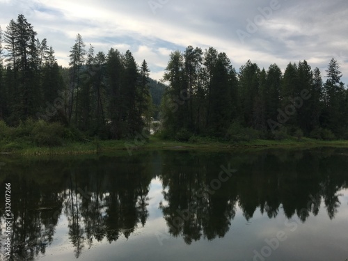 reflection of trees in the lake