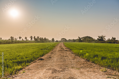 Rural way and sunset sky in Thailand