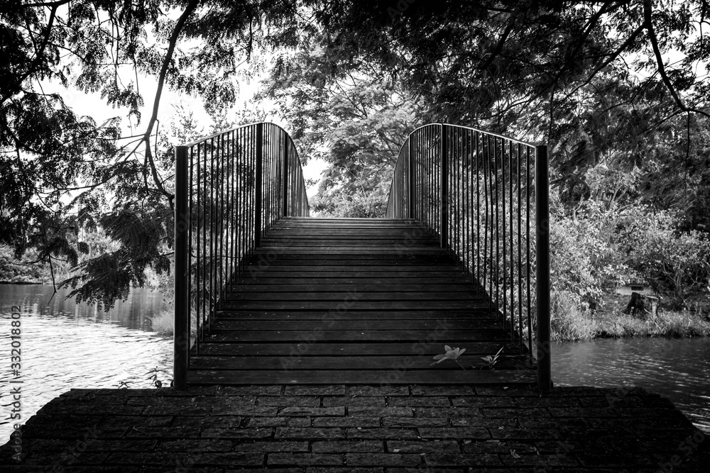stairs in the park stairs in the park