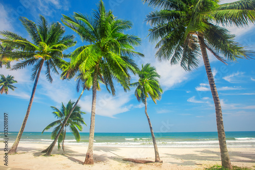 beautiful tropical beach with coconut palm trees © Alexander Ozerov
