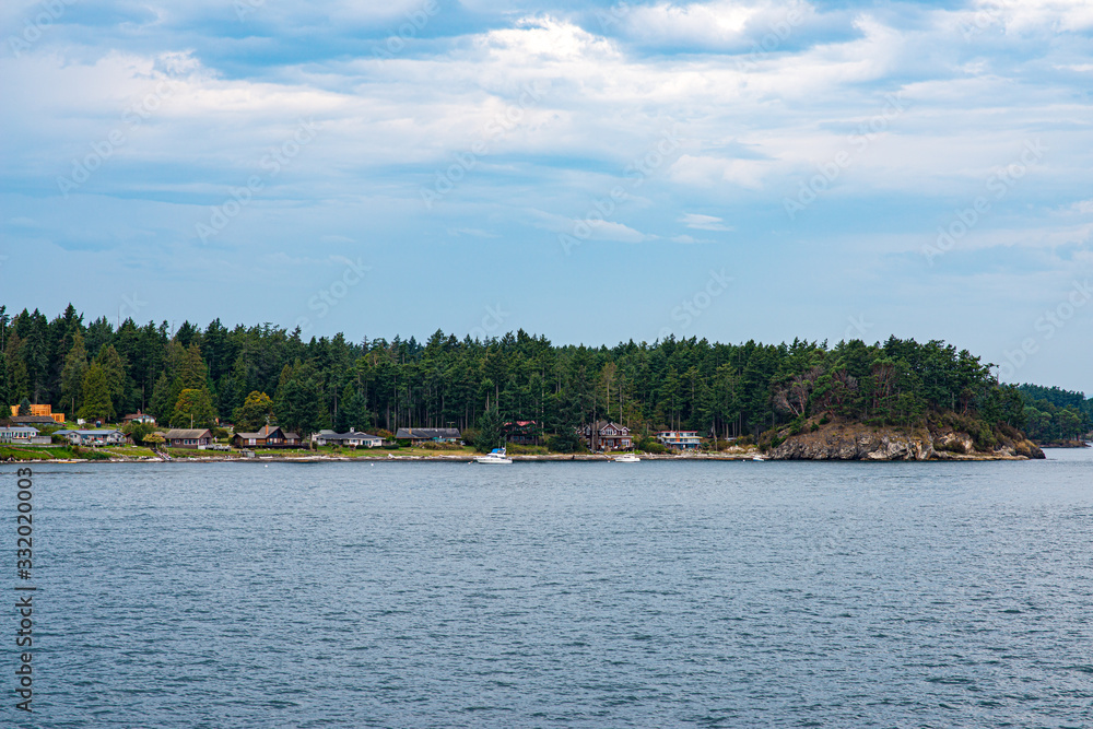 Salish Sea Landscape