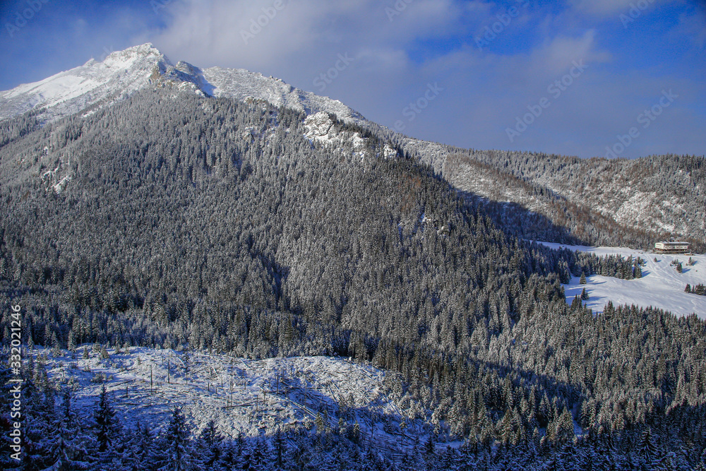 A view over the high mountains ot Tatras with slopes covered with mountains spruce forests in the winter
