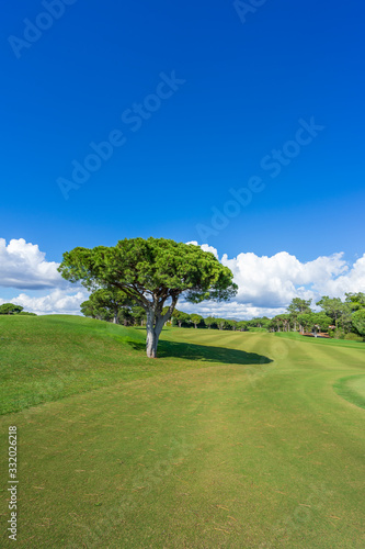 Beautiful, empty golf course with blue sky and green grass