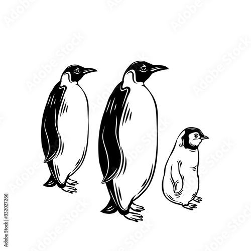 Penguin outline icons.