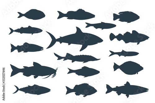 Silhouettes of fish