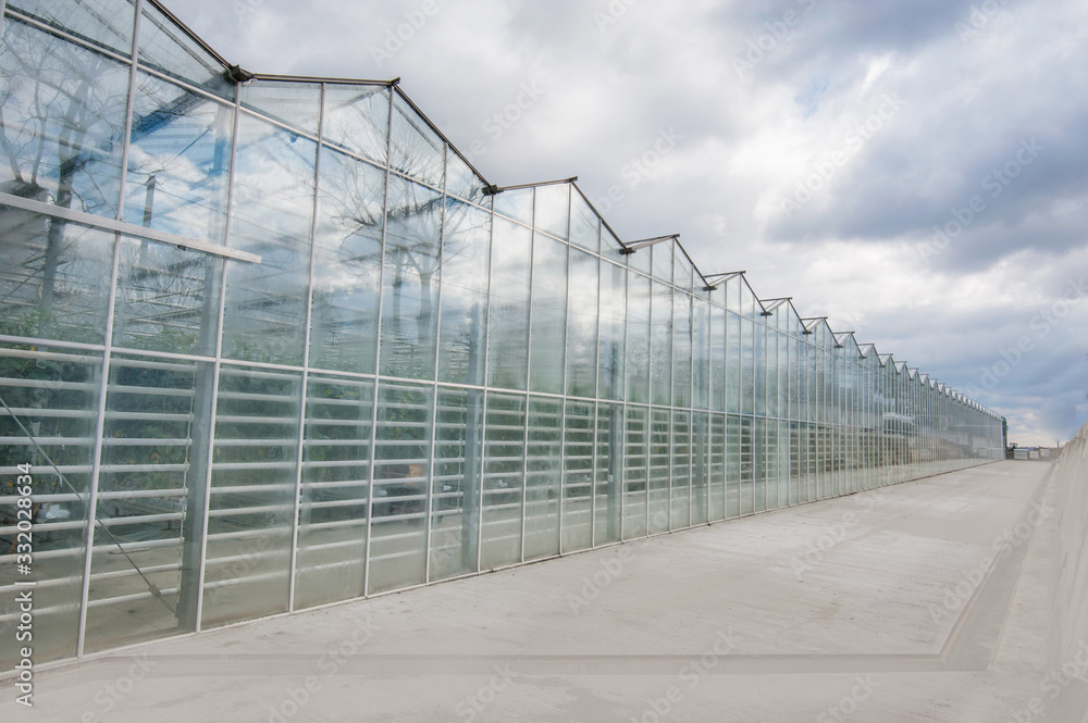 Fototapeta premium view of a greenhouses with dark clouds, outside, glass facade