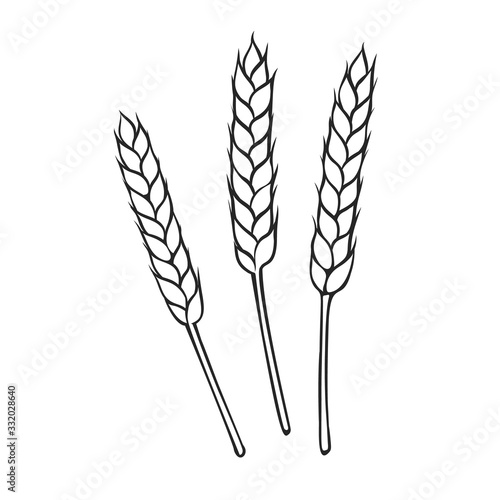 Rye or wheat spikelets outline