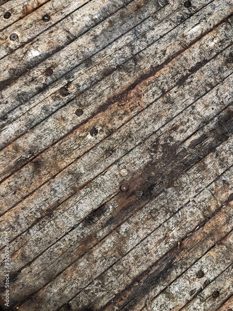 Obraz premium Wood Texture