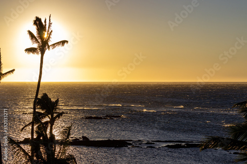 Palm trees near the ocean at sunset in tropics