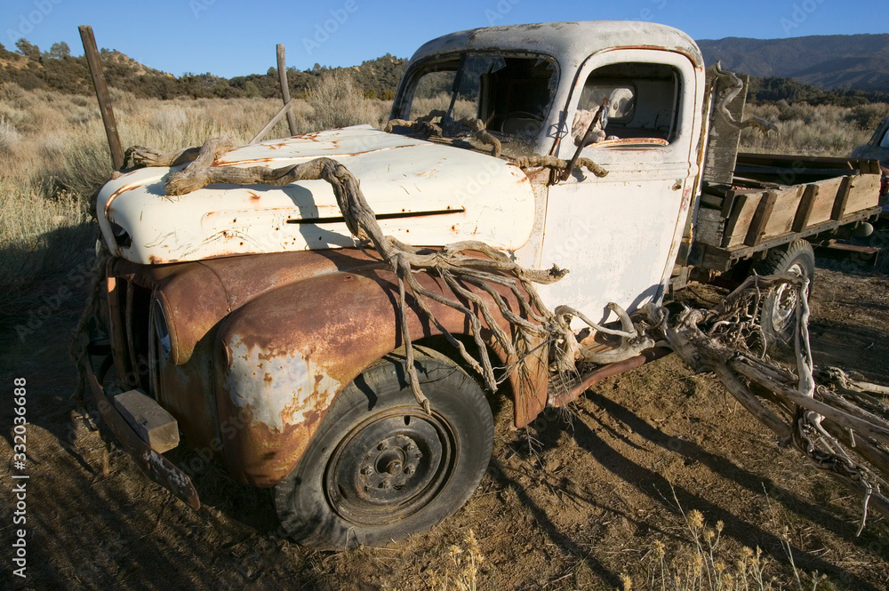 Φωτογραφία Stuffed animal sits in drivers window of deserted truck in field off highway 33,